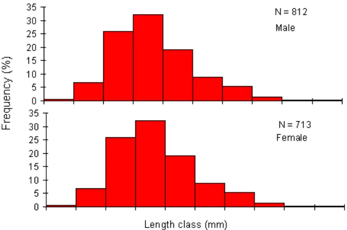 Figure 4.Length weight relationship of male (♂) and female (♀) T. celebensis. 