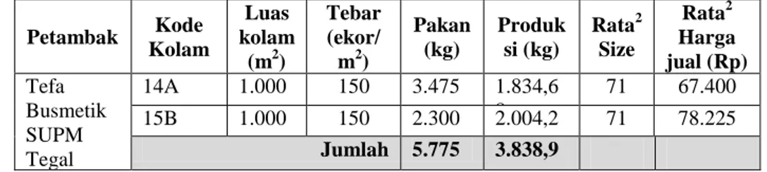 Tabel  4.3.    Data  Produksi  Tambak  Sistem  Intensif  Milik  Tefa  Busmetik SUPM Tegal 