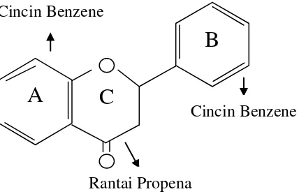 Gambar 2. Struktur Dasar Flavonoid  