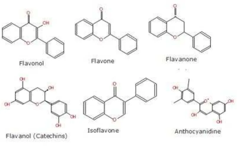 Gambar 3 Struktur Sub Kelas Flavonoid  