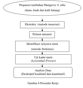 Gambar 6 Prosedur Kerja 