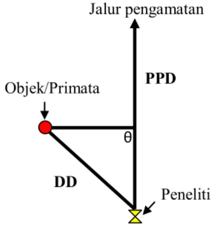 Gambar 1. Metode  transek garis (Wilson dan  Wilson, 1976)DD  θ  PPD Objek/Primata  Peneliti Jalur pengamatan 