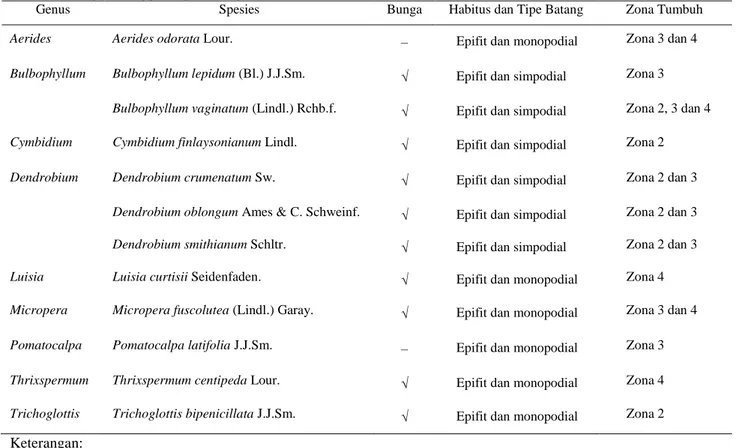 Tabel 1 Jenis-jenis anggrek epifit yang ditemukan di hutan Bukit Luncit 