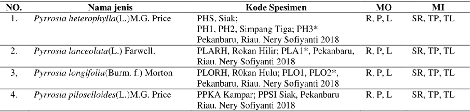 Table 1. Spesimen yang diteliti 