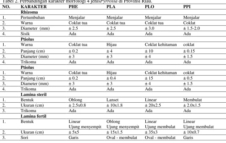 Tabel 2. Perbandingan karakter morfologi 4 jenisPyrrosia di Provinsi Riau. 