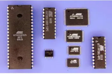 Gambar 1.2. Chip Mikrokontroler 