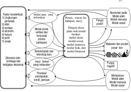  Gambar 2.3 Konsep Aset Berbasis Model Sistem Pertanian  ( Pretty, 1999)