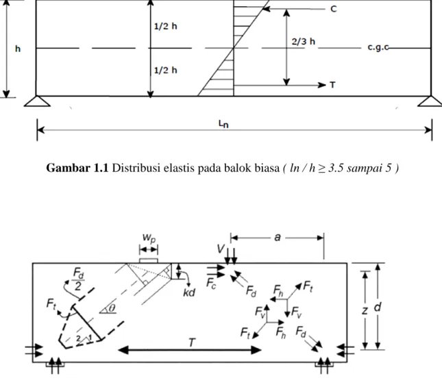 Gambar 1.1 Distribusi elastis pada balok biasa ( ln / h  ≥ 3.5 sampai 5 ) 