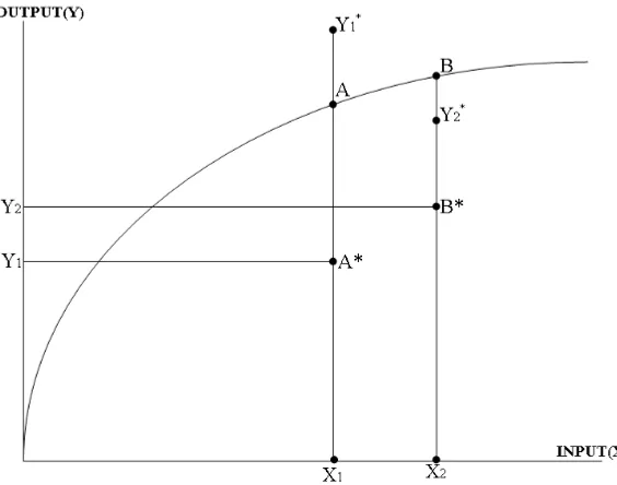 Figure 1.  Relationship of Input (X) with Output (Y) in Frontier Function 