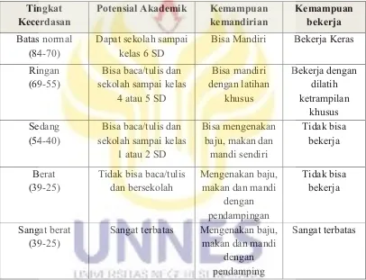 Tabel 2.1 Tingkat Kecerdasan Anak Autis 