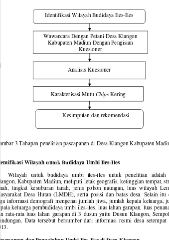 Gambar 3 Tahapan penelitian pascapanen di Desa Klangon Kabupaten Madiun