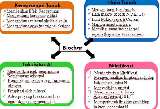 Gambar  3.  Mekanisme  biochar  sebagai  pembenah  tanah  terhadap  sifat  tanah  masam (Dai, Z, et al., 2016) 