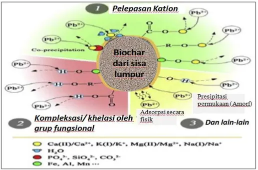 Gambar  4.  Gambaran  mekanisme  penjerapan  logam  berat  oleh  biochar   (Lu et al., 2012) 