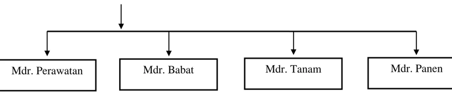 Gambar 4.2 : Struktur Organisasi 