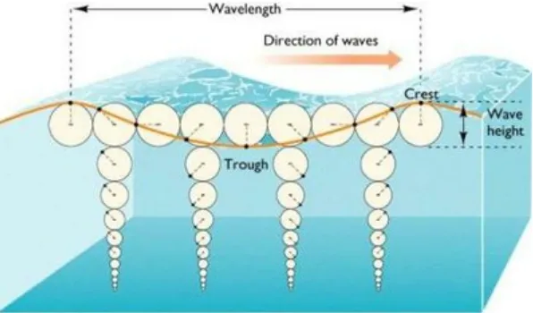 Figure 4  Description of the orbital velocities beneath a wave as it propagates. Note that theorbital velocity also attenuates with depth.