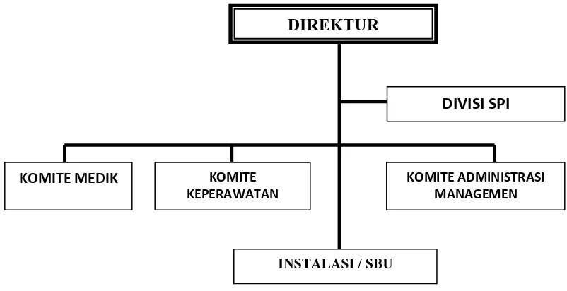 Gambar 4.1 Struktur Organisasi RSU Swadana Daerah Tarutung 