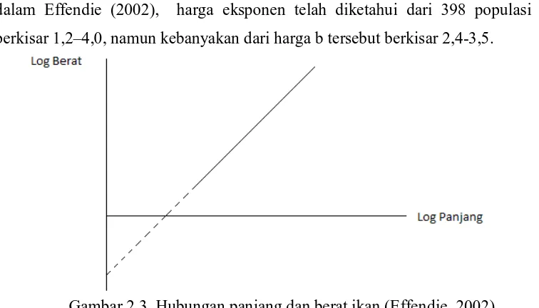 Gambar 2.3. Hubungan panjang dan berat ikan (Effendie, 2002) 
