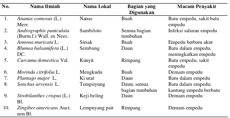 Tabel 29 Daftar jenis tumbuhan obat di Kabupaten Cianjur yang dapat digunakan untuk mengobati penyakit empedu 
