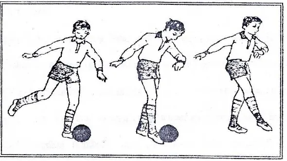 Gambar 2.5 Gerakan Menendang bola dengan punggung kaki dalam (Sukatamsi, 1984:118 