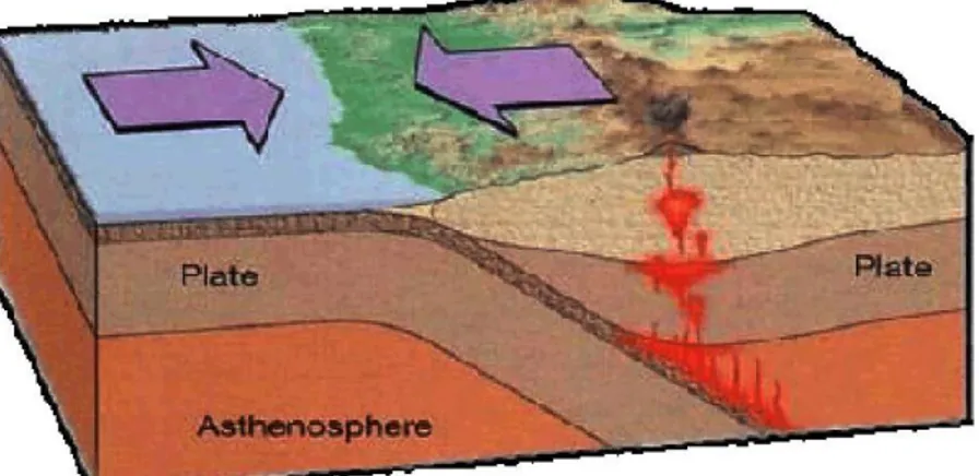 Gambar 2.1 Proses Magmatimasi karena tumbukan antar lempeng (Anonim, 2013)  Magma  yang  menyebabkan  letusan-letusan  vulkanik  menghasilkan  sumber  uap  dan air panas pada permukaan bumi di banyak tempat yang terdapat air di bawah  tanah  yang  bersingg