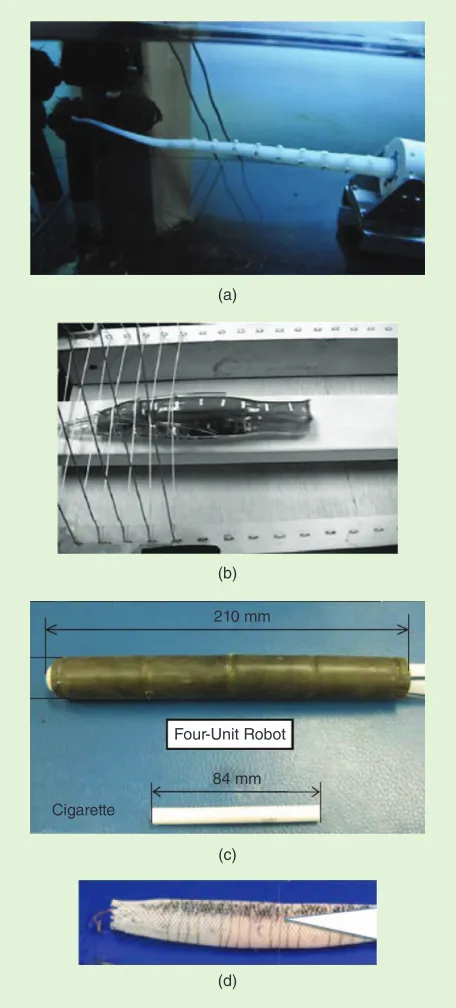 Figure 1. Elongation and shortening in soft-matter robots: (a) a silicone-based elastomer actuated by shape-memory alloys for reaching [14], (b) a silicone-based elastomer actuated by tension cords and internal fluid for peristaltic locomotion [49], (c) pneumatic artificial muscles as body segments for peristaltic locomotion [50], and (d) thermoplastic meshes actuated by shape-memory alloys for peristaltic locomotion [15].