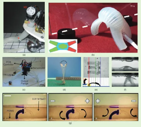 Figure 4. The bending of polymers for legged or limbless locomotion in soft-matter robots: (a) silicone-based elastomer actuated by cables locomotion with polydimethylsiloxane actuated by cardiomyocytes [25], and (f) and (g) crawling locomotion with ionic stimuli-responsive (C and D) and a servo motor (M2) in legged locomotion [55], (b) networked chambers of silicone-based elastomer actuated by valves and an air pump in multigaited legged locomotion [23], (c) locomotion with legs made from EVA-based TPA actuated by cables and one servo motor (work by Liyu Wang), (d) bipedal locomotion with legs made from polyethylene actuated by shape-memory alloys [24], (e) crawling hydrogel [61], [62].