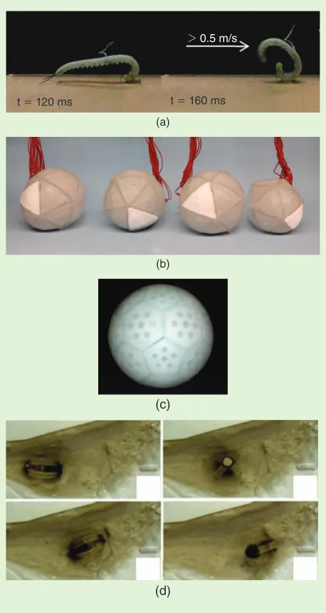Figure 5. The bending of polymers for rolling locomotion in soft-matter robots: (a) wheel-shaped rolling with silicone-based elastomer actuated by shape-memory alloys [26], (b) ball-shaped rolling with networked chambers of silicone-based elastomer actuated by valves and an air pump [27], (c) ball-shaped rolling with networked bladders of silicone-based elastomer and ABS plastic actuated by valves and an air pump [56], and (d) a capsule endoscope made from polyurethane elastomer rolling and actuated by magnets and magnetic fields [28].