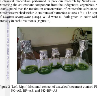Figure 2 (Left-Right) Methanol extract of waterleaf treatment control, PK+RP, 