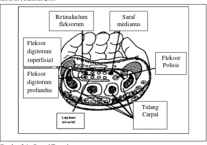 Gambar 2.1: Carpal Tunnel 