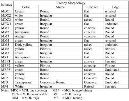 Table 1. Colony Morphology of MOL Isolates 