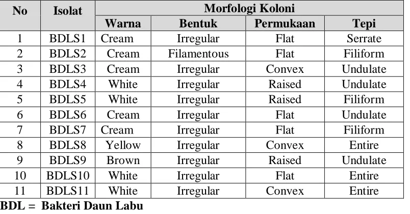 Table 1. Isolated bacterial colonies Morphology of chayote leaf Mol on the Nutrient Agar (NA) medium  