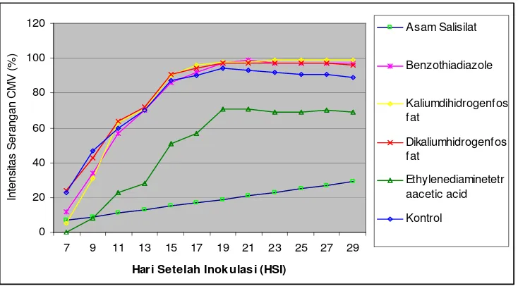 Gambar 1. Grafik perkembangan intensitas serangan CMV pada tanaman cabai                   merah yang diaplikasi dengan beberapa senyawa kimia 