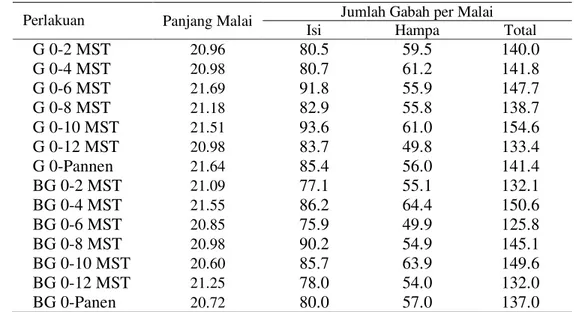 Tabel 11. Panjang malai dan jumlah gabah per malai padi hibrida pada  berbagai periode kompetisi gulma 