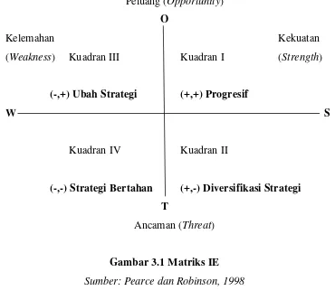 Gambar 3.1 Matriks IE 