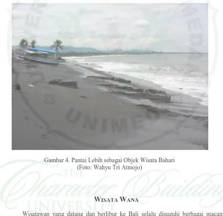 Gambar 4. Pantai Lebih sebagai Objek Wisata Bahari  (Foto: Wahyu Tri Atmojo) 