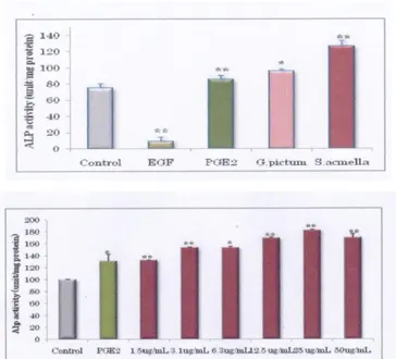 Gambar  5.1.  Peningkatan  aktivitas  enzim  ALP  dari  ekstrak  etanol  70%  Spilanthes  acmella 