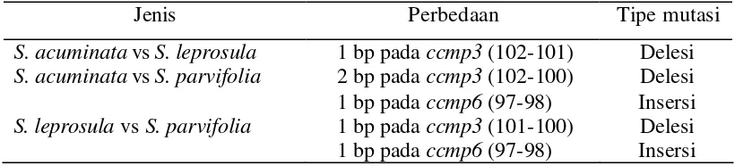 Tabel 5 Perbedaan antara S. acuminata, S. leprosula dan S. parvifolia berdasarkan                 tipe mutasi 