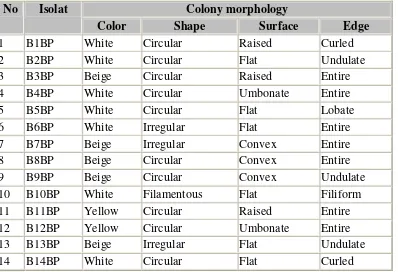 Table 1. Isolated bacterial colonies Morphology of banana stump’s MOL on the Nutrient Agar (NA) medium 