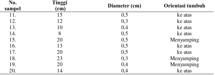 Tabel 1  Koordinat, ketinggian tempat, tinggi dan diameter pohon induk populasi alam Cemara sumatra yang dijadikan sampel untuk analisis RAPD Ketinggian 