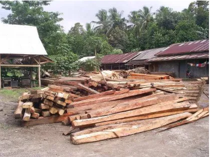 Gambar 12.  Industri Penggergajian Kayu Rakyat di Kecamatan Padarincang. 