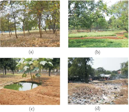Figure 6. Condition areal of Srengseng urban forest: massive tree (a), lake for recreation (b), park area (c) and domestic waste (d)
