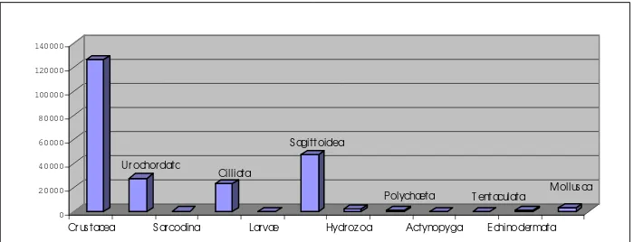 Gambar 7  Histogram kelimpahan total zooplankton pada Zona A 