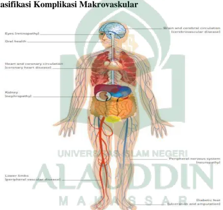 Gambar 3. Letak komplikasi Makrovaskular (IDF, 2013: 25). 