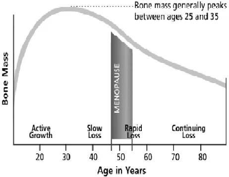 Gambar diatas menunjukan bahwa terjadi percepatan pertumbuhan tulang , yang mencapai massa puncak tulang pada usia berkisar 20 – 30 tahun, kemudian terjadi perlambatan formasi tulang dan dimulai resorpsi tulang yang lebih dominan
