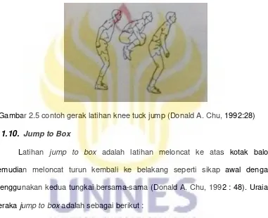 Gambar 2.5 contoh gerak latihan knee tuck jump (Donald A. Chu, 1992:28) 