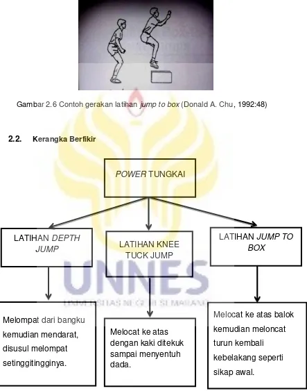 Gambar 2.6 Contoh gerakan latihan jump to box  (Donald A. Chu, 1992:48) 