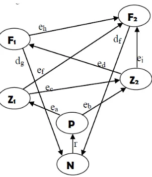 Figure 1: The interaction of ﬁve species with nutrient in marine ecosystem.The arrow lines show as the predation relationship.