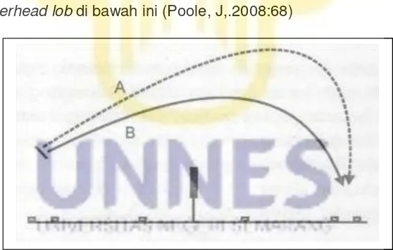 Gambar 2.4 (A) overheadoverhead lob lob tinggi yang bersifat mempertahankan diri, (B)  rendah yang bersifat menyerang (Sumber: Poole, J,.2008:68) 