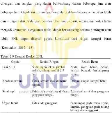 Tabel 2.9 Derajat Reaksi ENL 