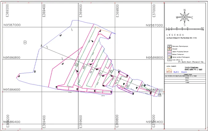 Gambar 2. Desain Disposal Area Pit 3 Timur Banko Barat  Berdasarkan  garis  sectionB-B”  pada 